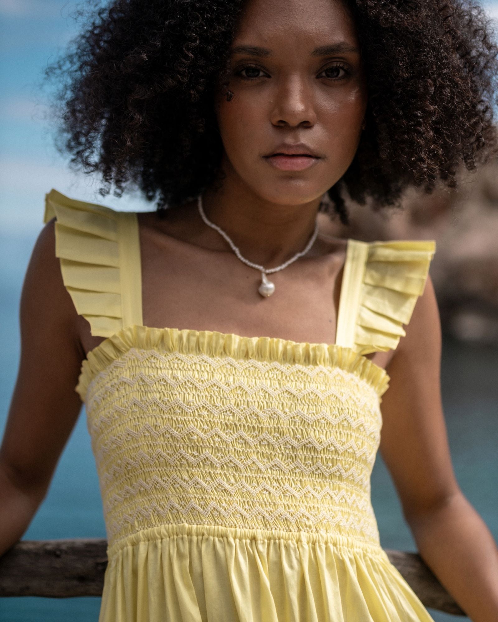 Rachel Carson Dress Lemon Cotton Lawn with Chantilly Hand Smocking