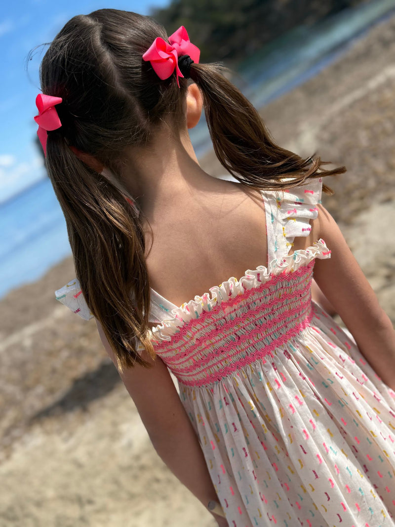 Rachel Carson Girls Dress Neon Confetti Plumetti with Wham Bar Hand Smocking