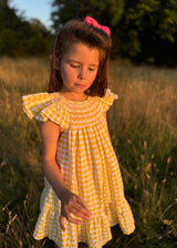 Indira Gandhi Flutter Dress Yellow Submarine Seersucker with Lychee Lemonade Hand Smocking