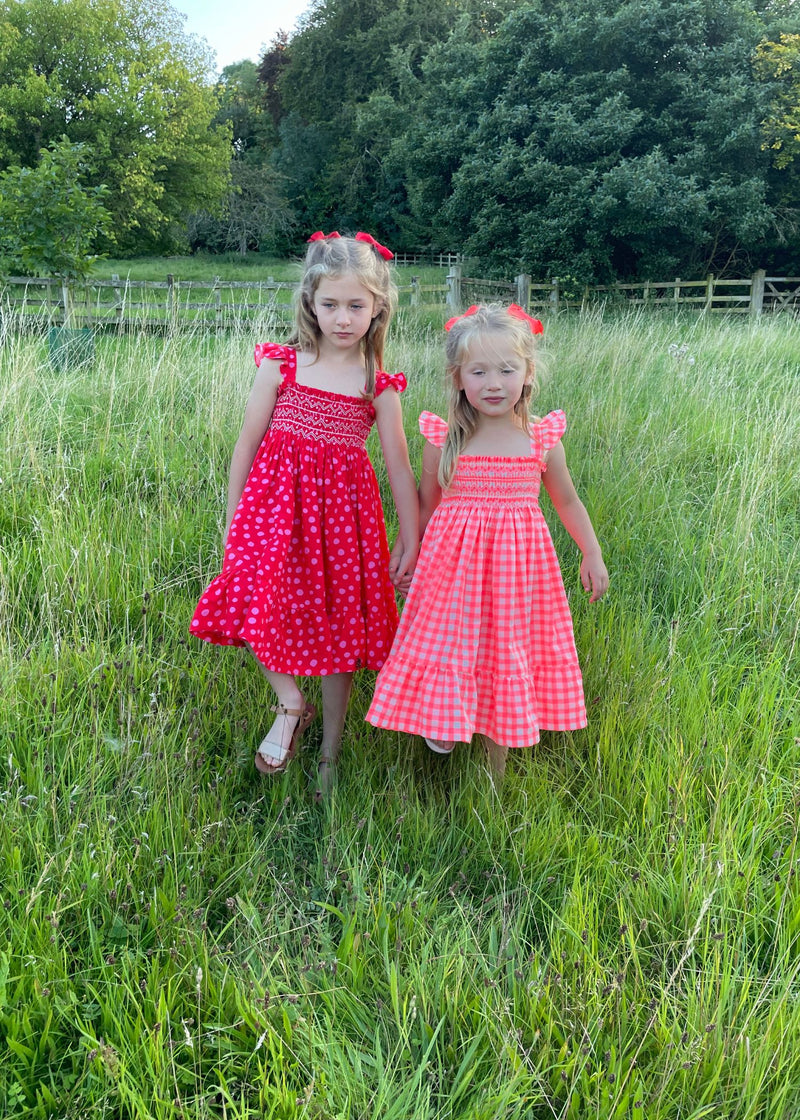 Rachel Carson Dress Funky Dalmatian with Jammy Dodger Hand Smocking